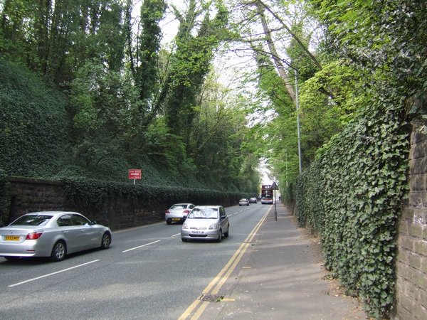 File:The Rock Cutting, Tettenhall - geograph.org.uk - 407969.jpg