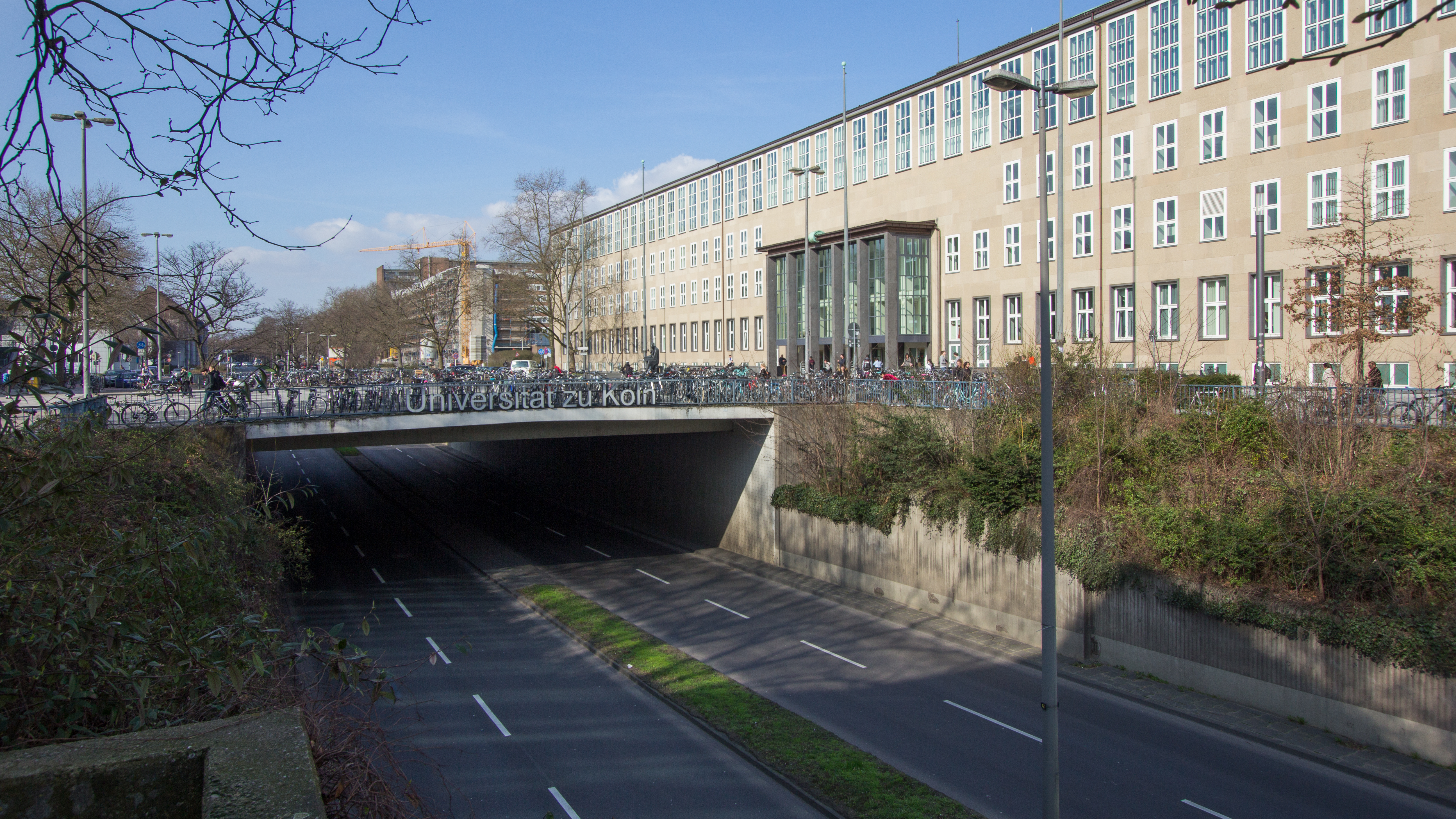 Школа: Studienkolleg bei den Universitäten des Freistaates Bayern München.