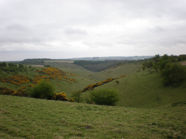 File:View across Well Dale, near Huggate - geograph.org.uk - 1360150.jpg