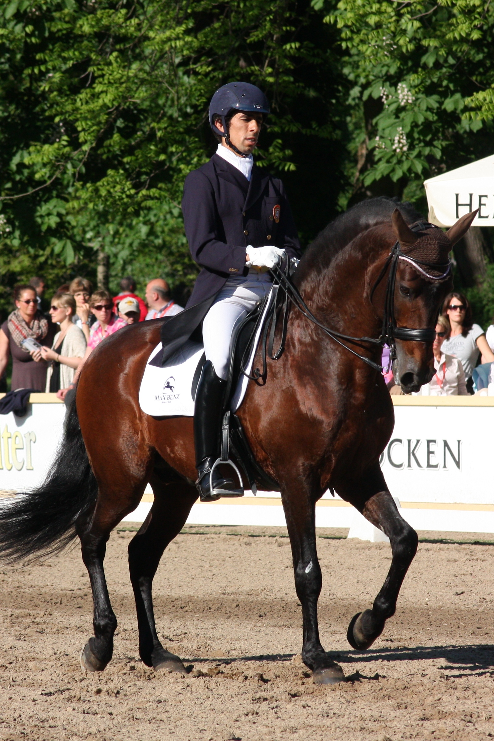 Gonçalo Carvalho and ''Rubi'' (2013)