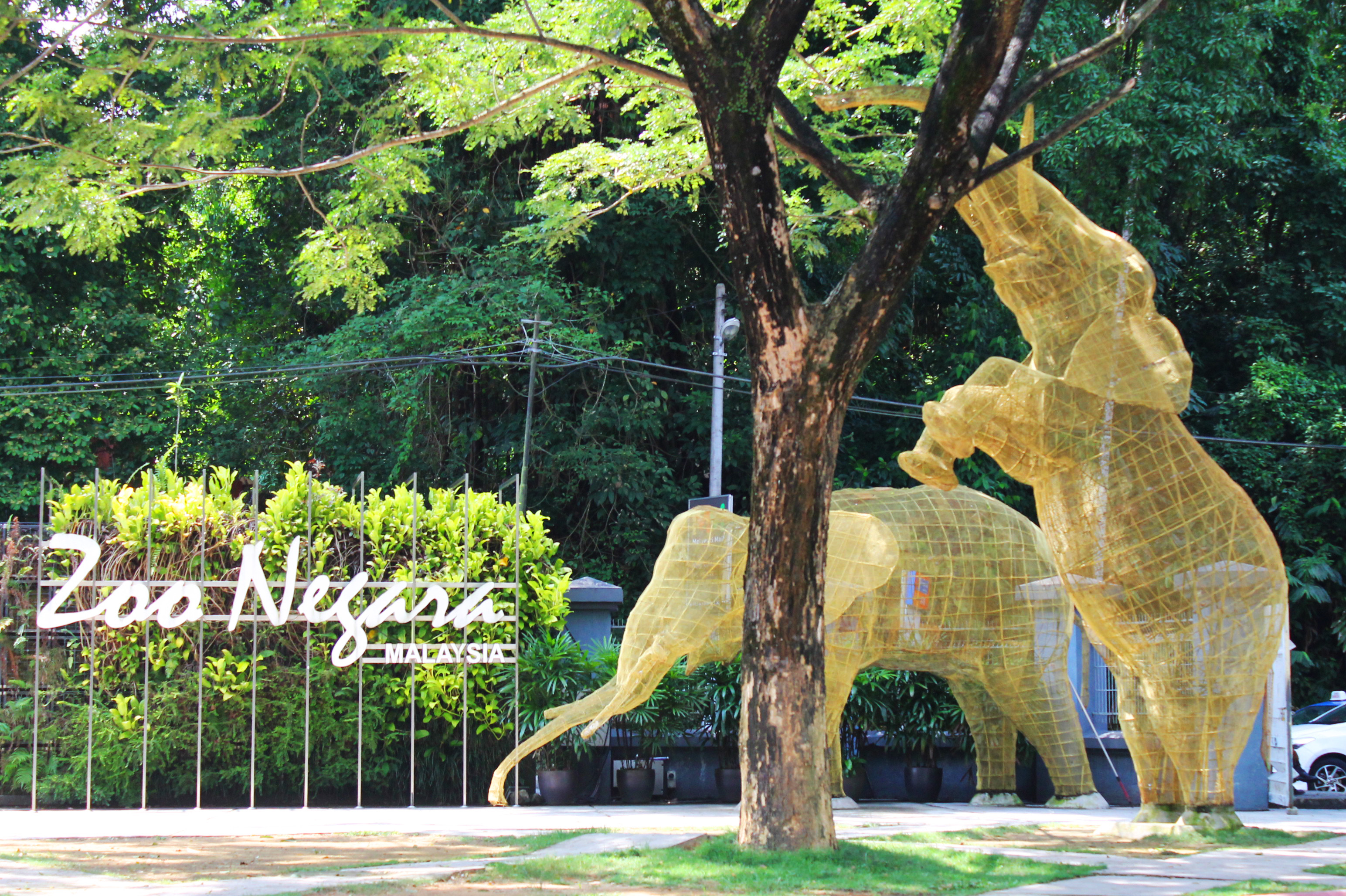 The National Zoo (Malay: Zoo Negara) is a Malaysian zoo located on 110 acres (45 ha) of land in Ulu Klang, Gombak District, Selangor, Malaysia. It was officially opened on November 14, 1963, by the country's first prime minister, Tunku Abdul Rahman. The zoo is managed by a non-governmental organization known as the Malaysian Zoological Society and is home to 5,137 animals of 476 different species. It received MS ISO 9001:2008 certification in July 2007 and is a member of the South East Asian Zoos Association (SEAZA). The president and chairman of the zoo is Y. Bhg. Dato' Ismail Hutson.