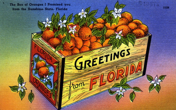 File:"The Box of Oranges I Promised you from the Sunshine State, Florida" (11403234783).jpg