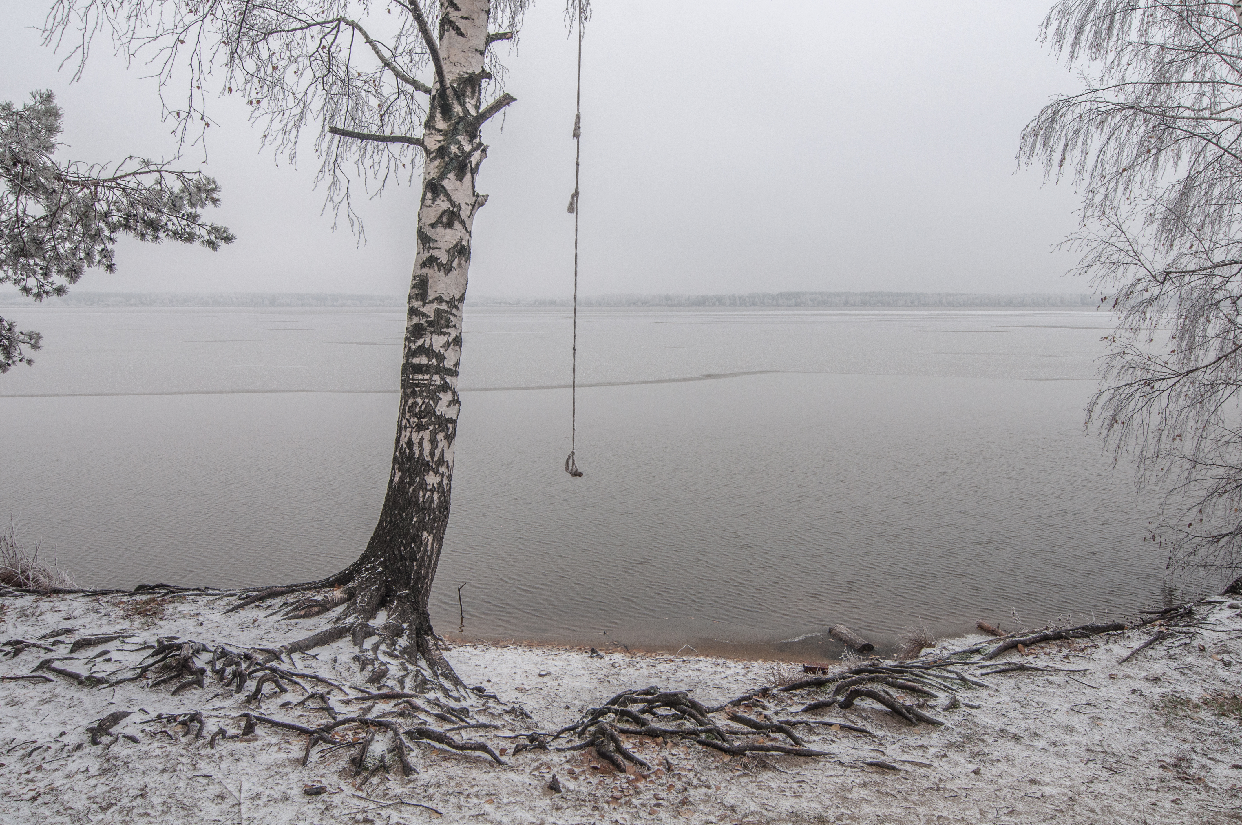 Рязанская область озеро великое