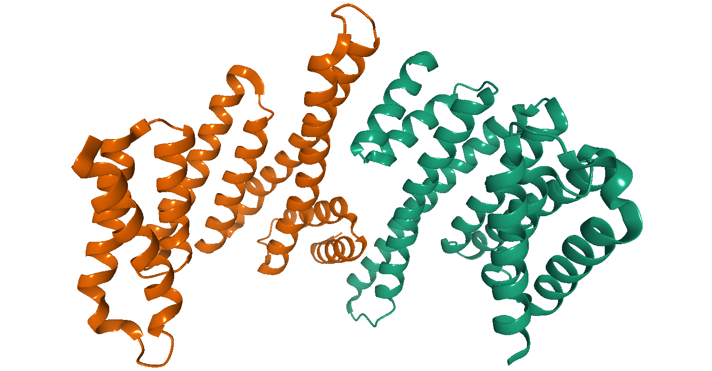 14 3 3 Protein Wikipedia