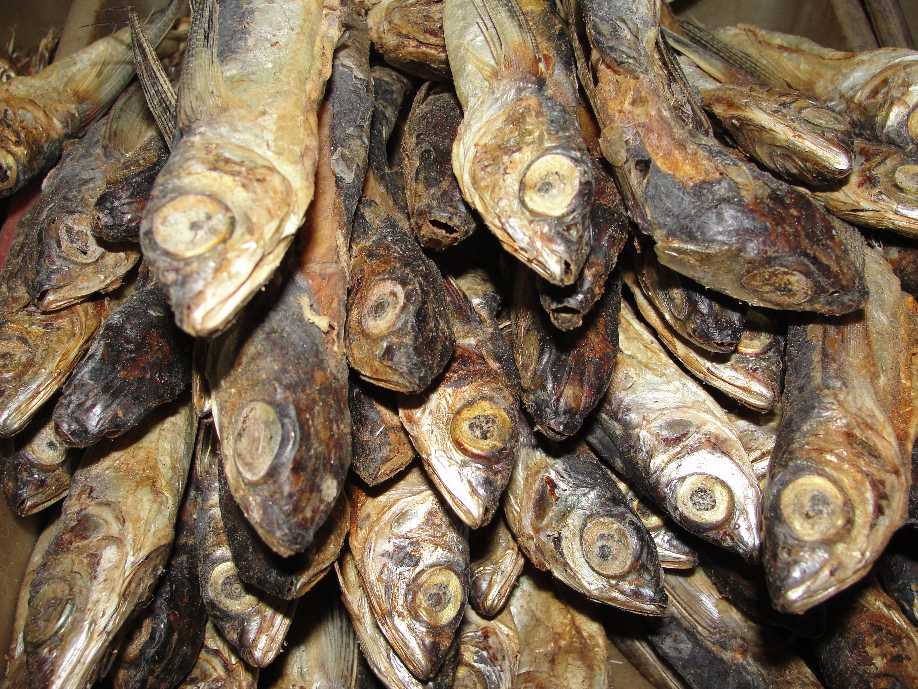 Dry Fish