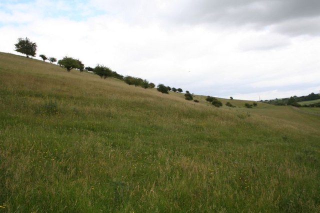 File:Along the hill - geograph.org.uk - 873402.jpg