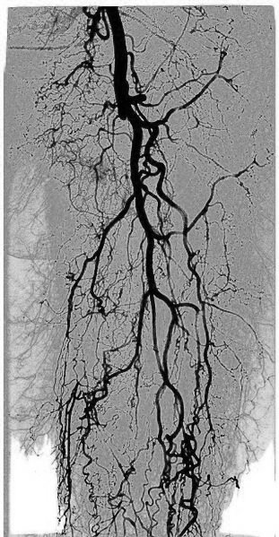 <span class="mw-page-title-main">Kinetic imaging</span>