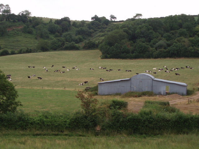 File:Barn and cows - geograph.org.uk - 191664.jpg