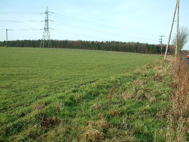 File:Bickerstaffe Wood - geograph.org.uk - 100500.jpg