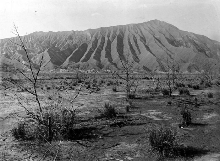 File:COLLECTIE TROPENMUSEUM De Zandzee-vlakte met Widoraren vegetatie van Carex Baccata Oost-Java TMnr 10004346.jpg