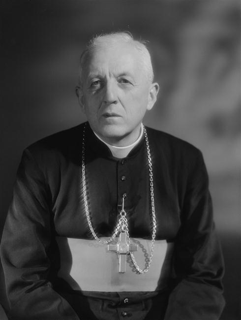 Cardinal François Marty