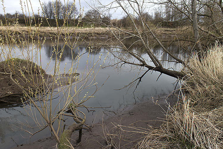 File:Confluence of the River Farg and the River Earn - geograph.org.uk - 4413233.jpg