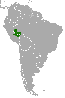 Distribución del tití emperador