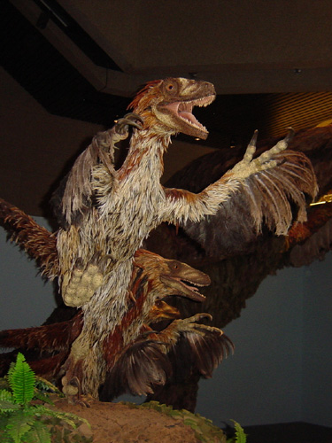 Deinonychus - Wikipedia