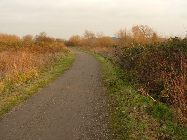 File:Footpath by the Trent - geograph.org.uk - 1091218.jpg