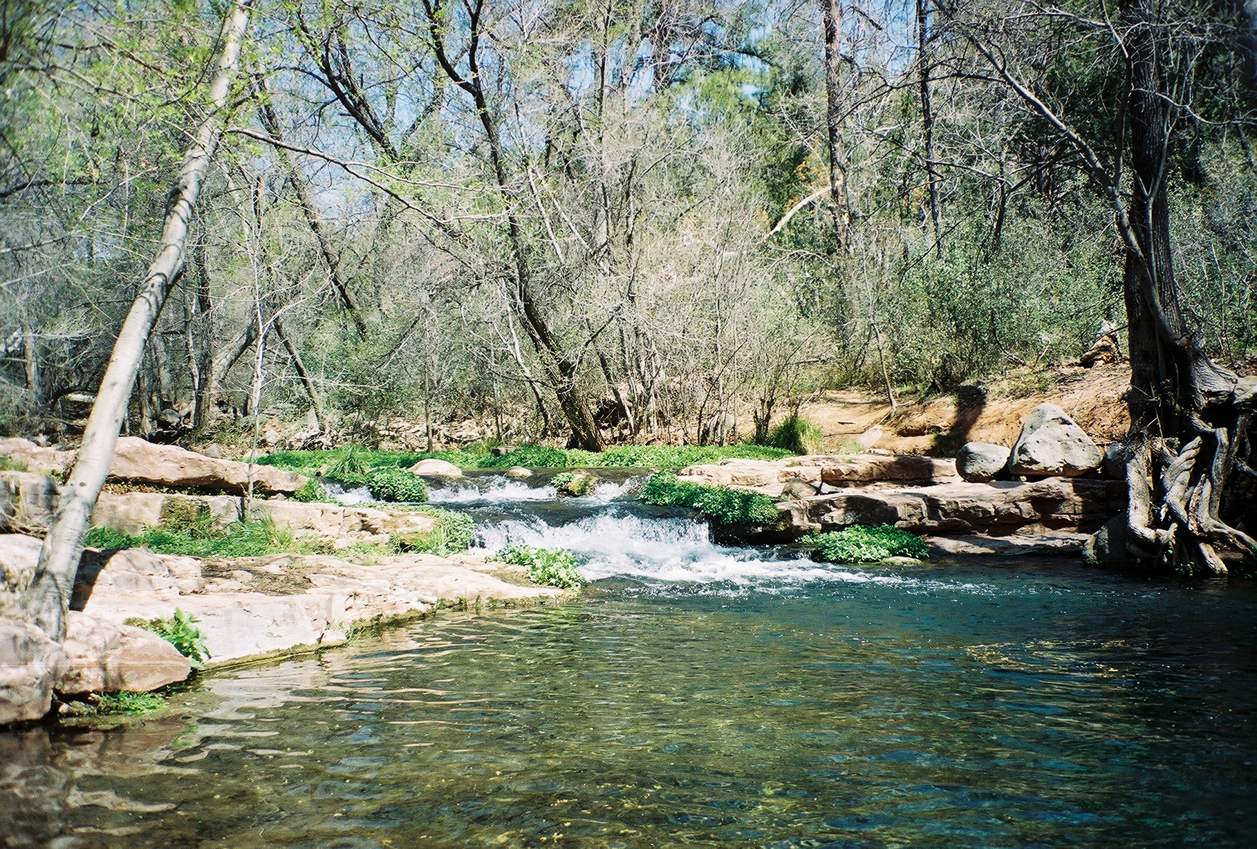 Photo of Fossil Creek