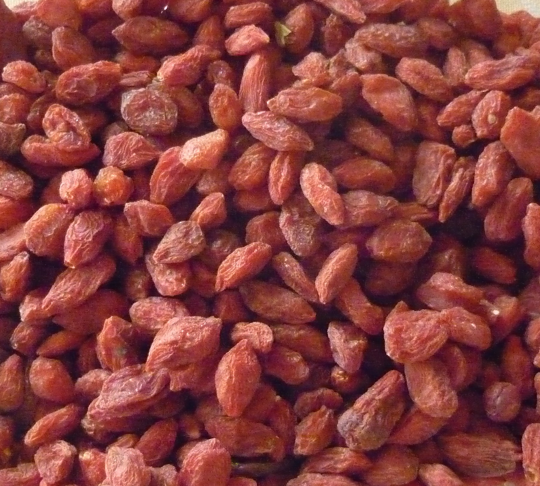 File:Goji - Wikimedia Commons