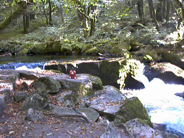 Golitha Falls - geograph.org.uk - 1275