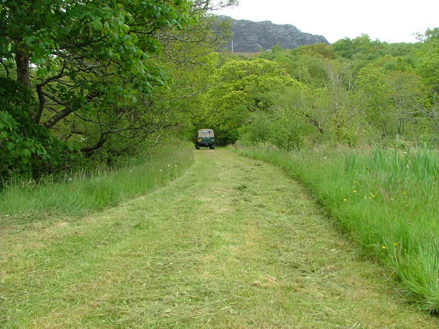 File:Green Laning^ - geograph.org.uk - 181829.jpg