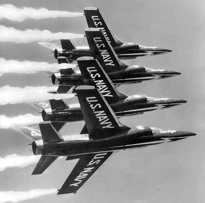 <em>The Blue Angels flew both the short and long-nose versions of the Tiger (U.S. Navy)</em>