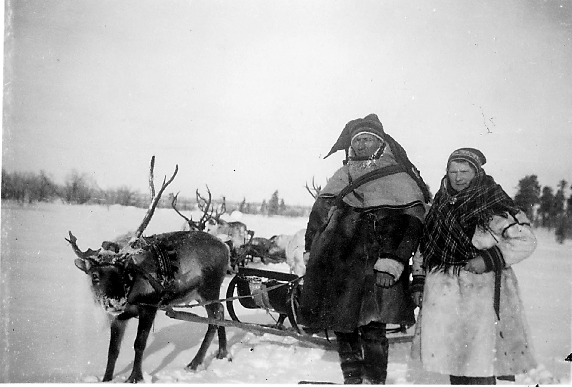 Саамы в 19 веке хоровод