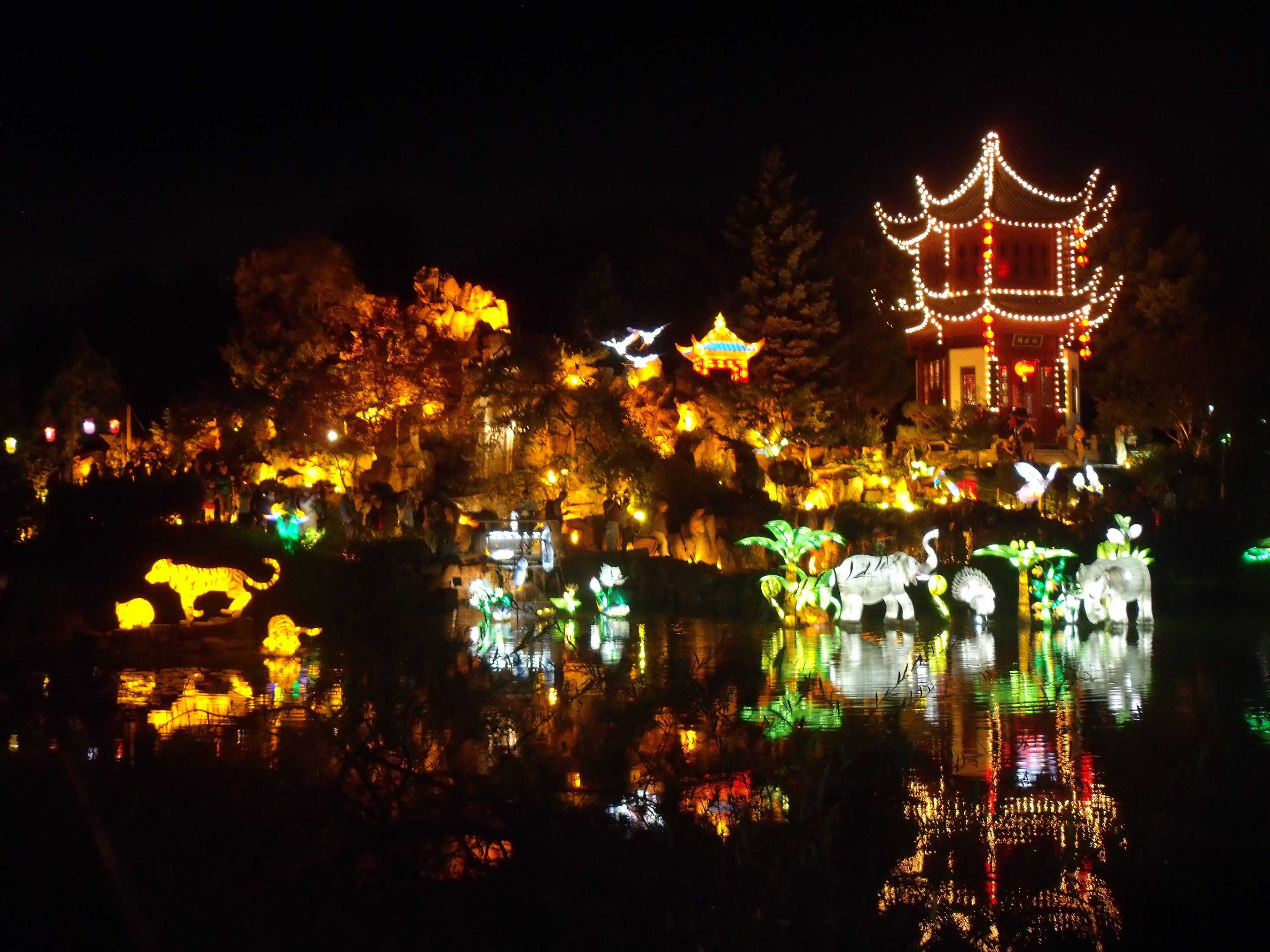 Jardin botanique: 3 jardins de lumières à découvrir - Véronique