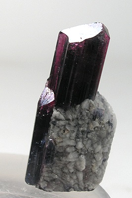 Liddicoatite-t5151b.jpg