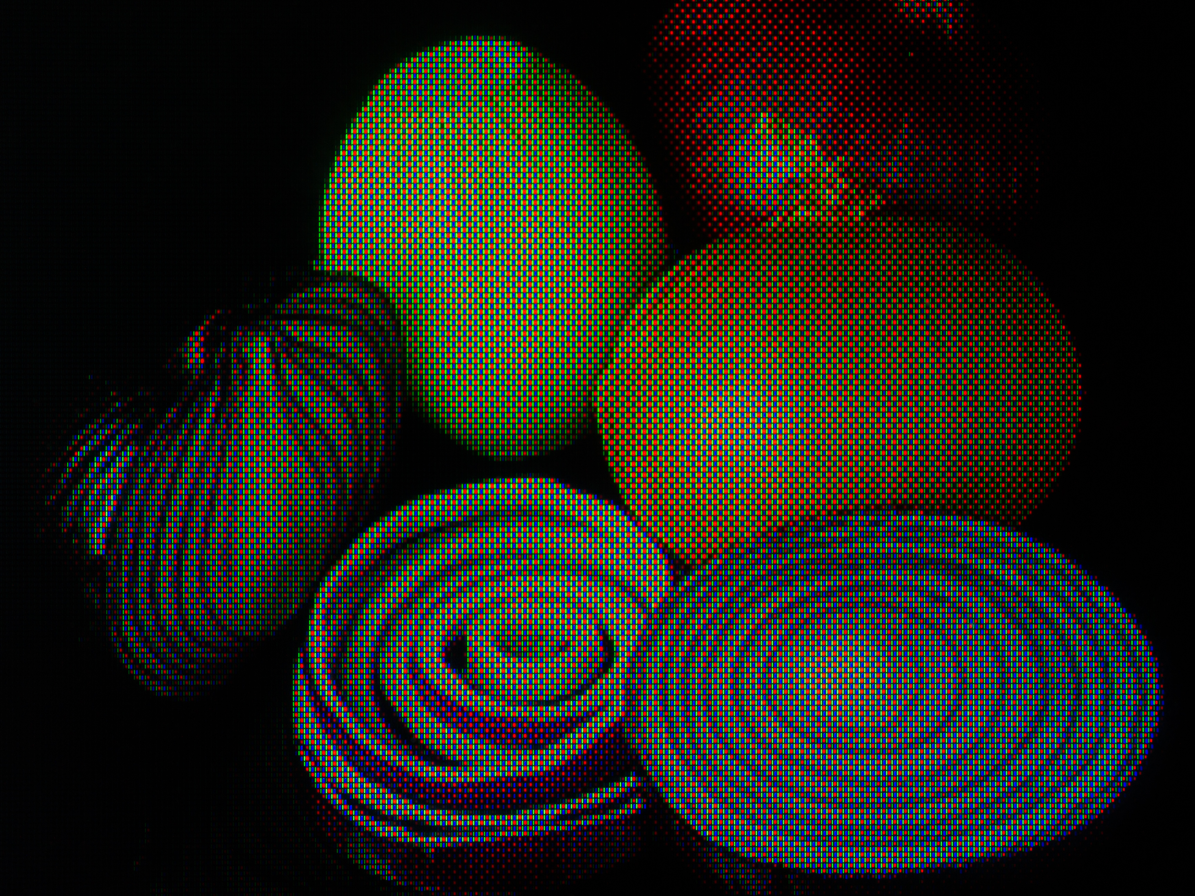 Mixed onion. Пентайл. PENTILE. PENTILE macro. PENTILE photo.