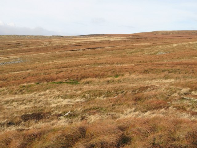 File:Moorland below Fendrith Hill - geograph.org.uk - 615207.jpg