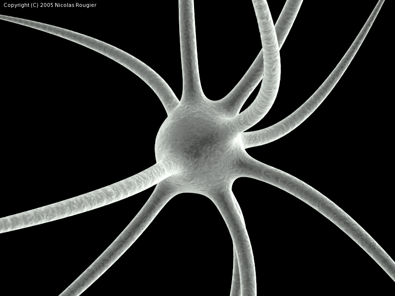 File:Neuron-SEM.png