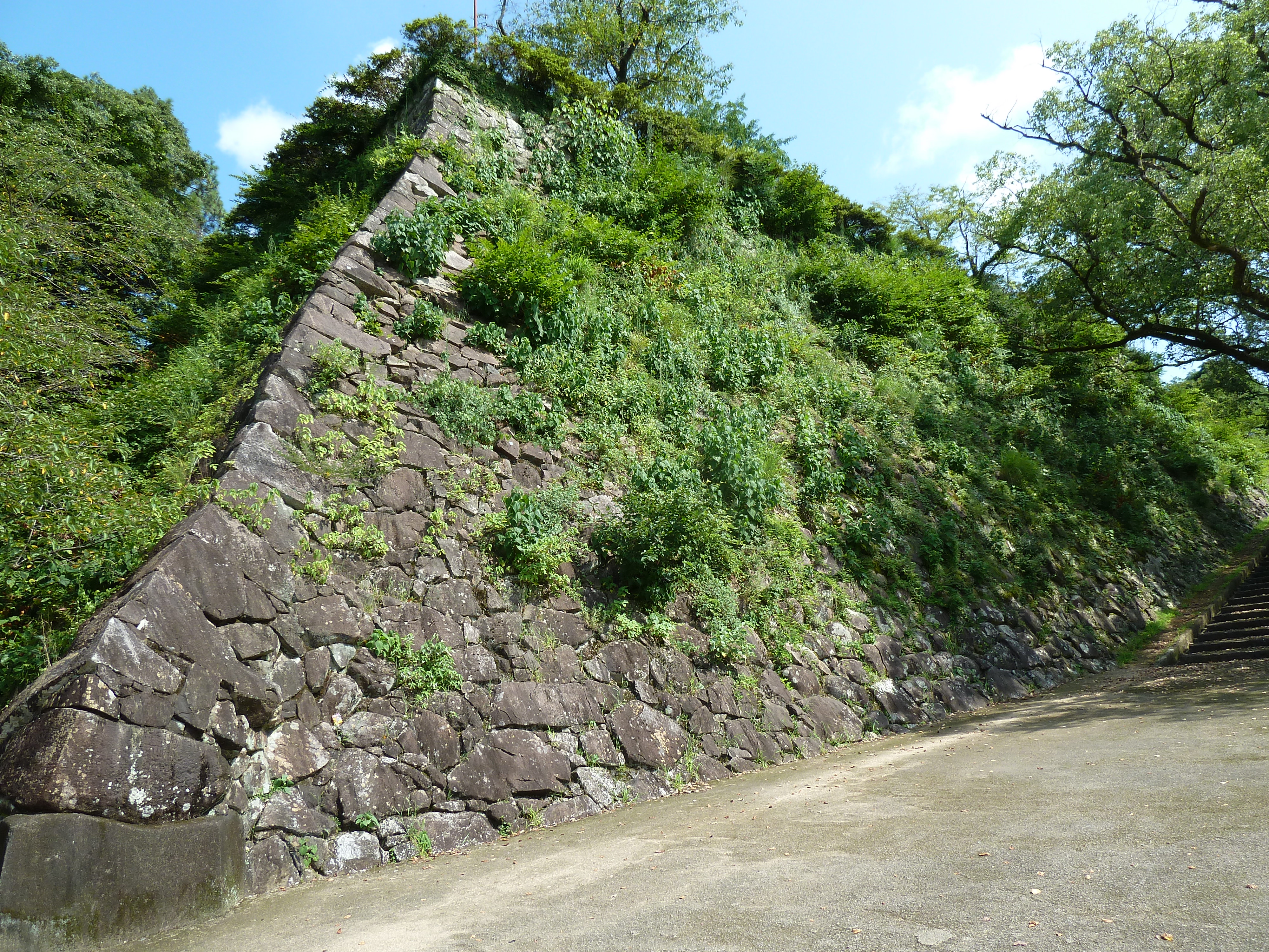 延岡城 - Wikipedia