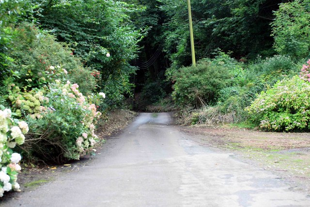 File:Not steep yet , but tiz further on - geograph.org.uk - 1477451.jpg