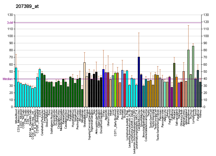 File:PBB GE GP1BA 207389 at fs.png