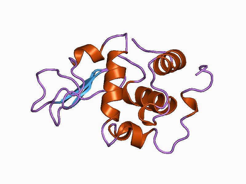 File:PDB 1ckd EBI.jpg