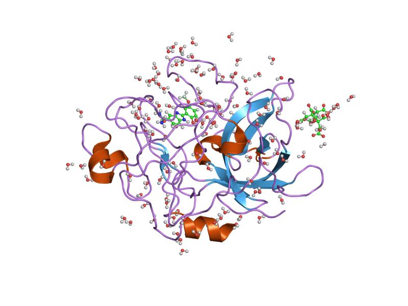 File:PDB 1gi9 EBI.jpg