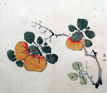 File:Persimmon - Hu Zhengyan.PNG