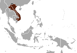 Pygmy Slow Loris area.png