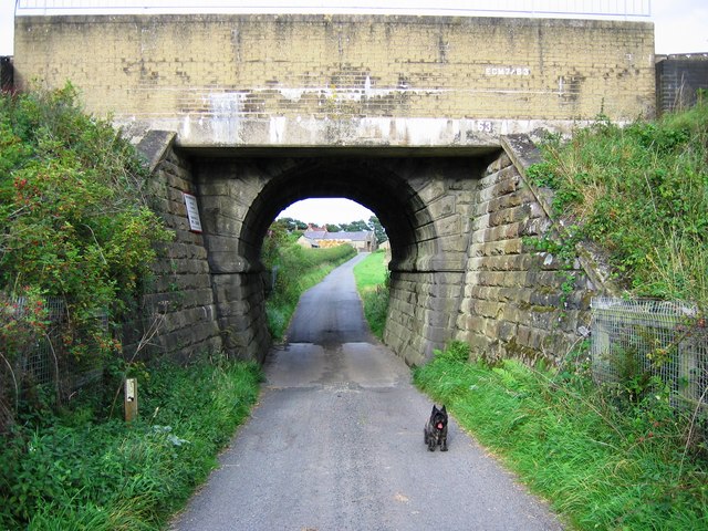 File:Railway Bridge - geograph.org.uk - 544220.jpg