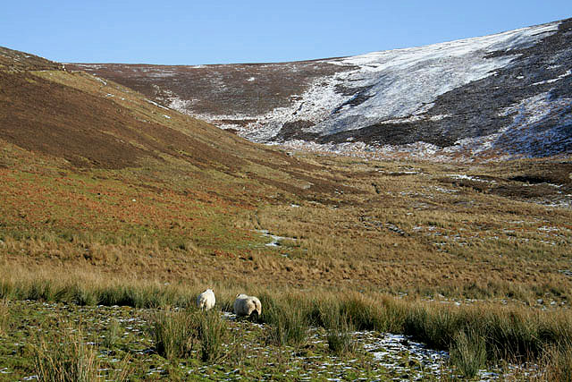 File:Rough grazing near Old Broadmeadows - geograph.org.uk - 1137839.jpg