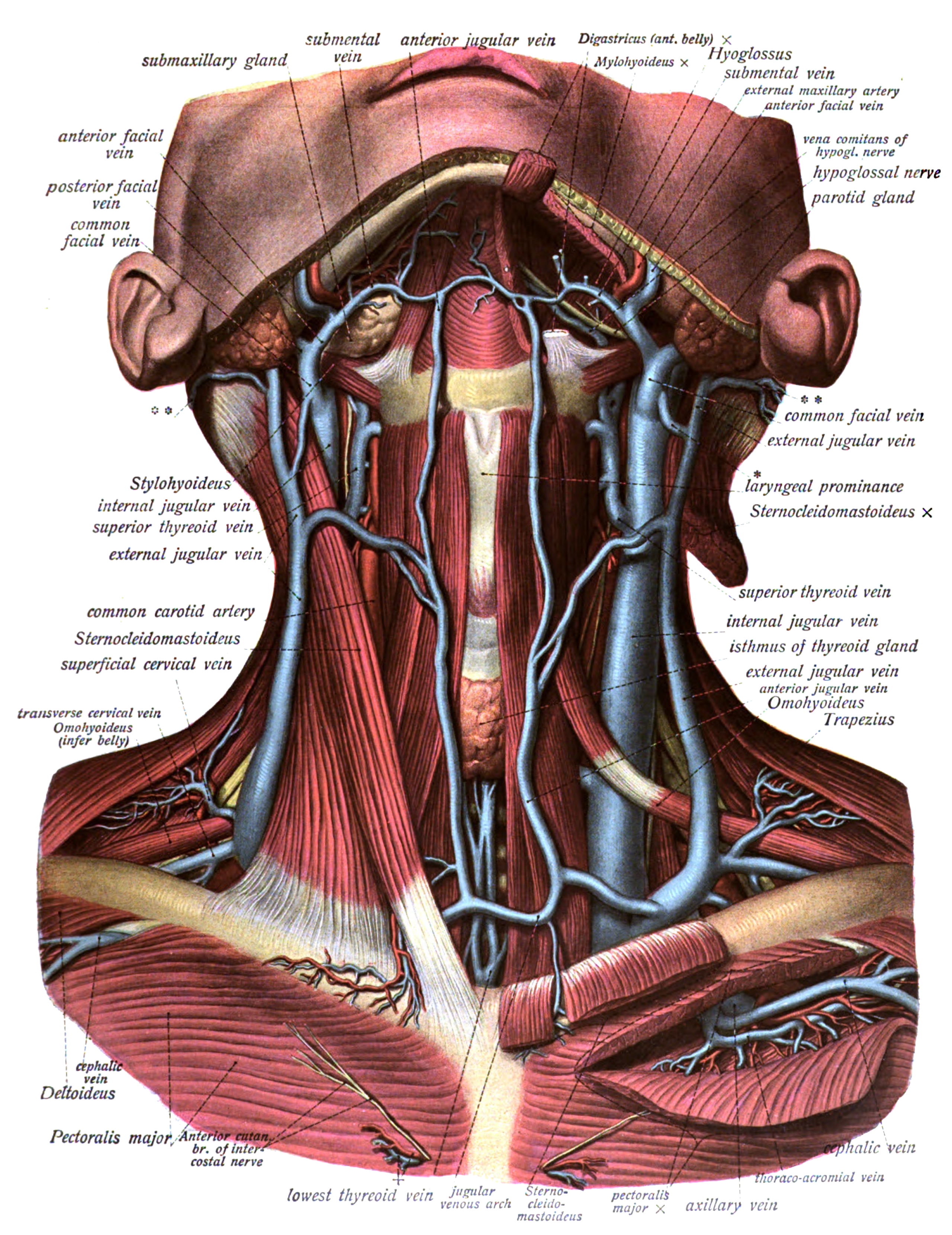 File Sobo 1911 593 Png Wikimedia Commons