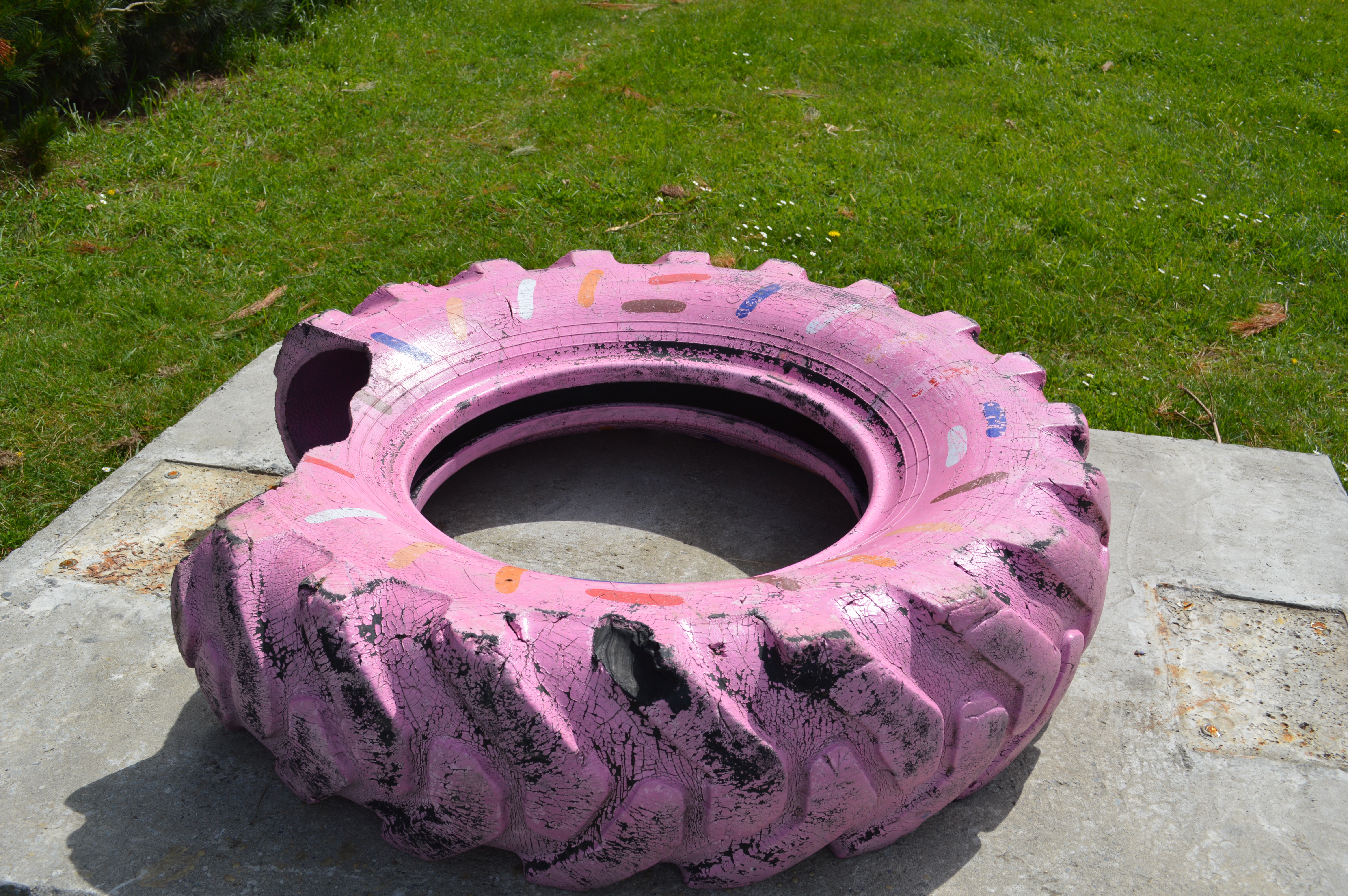 tyre springfield donut