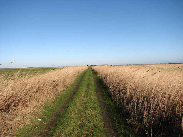 Straight Paths. Marsh Road. Country Roads outfit.