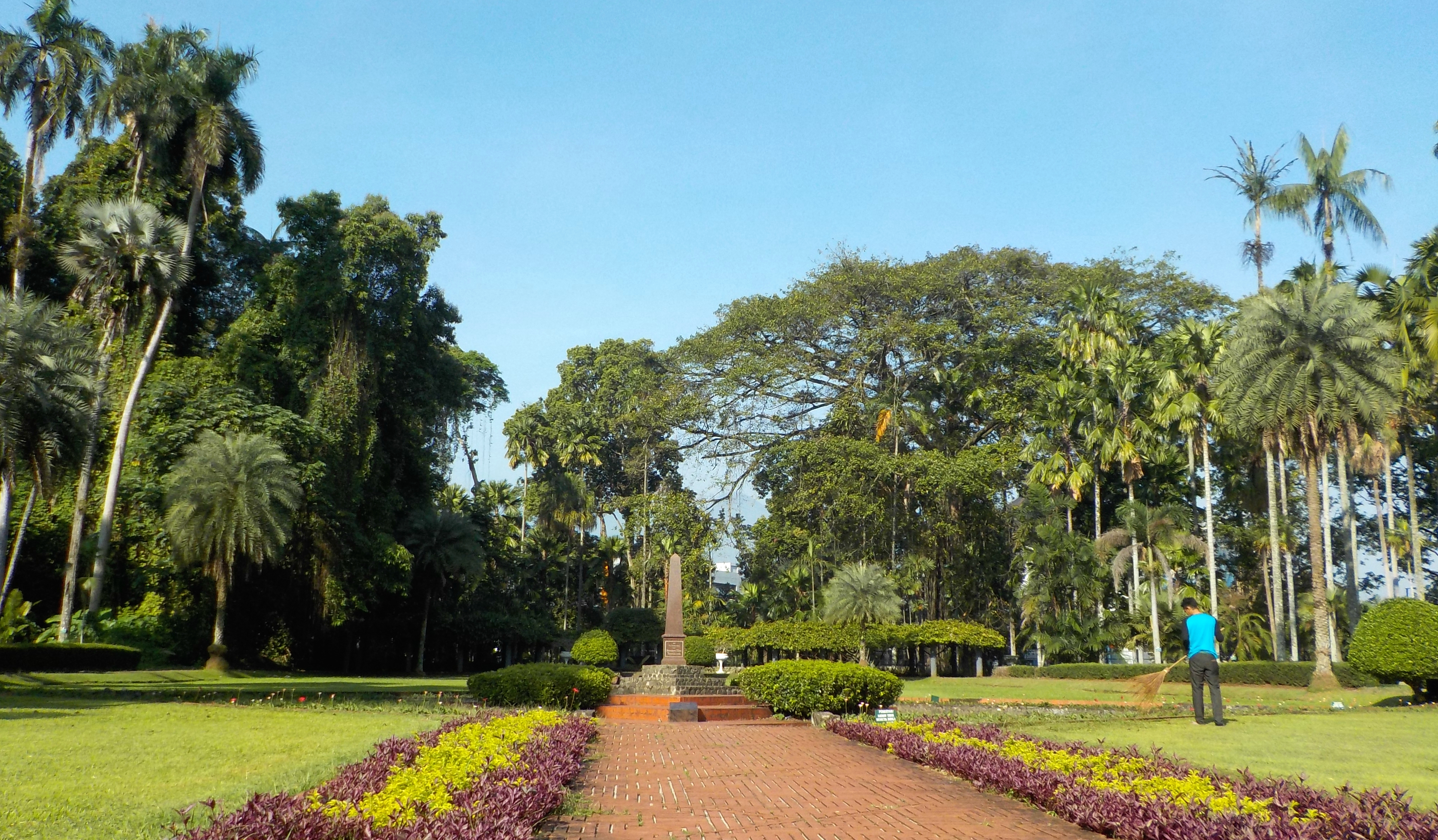 Bogor Botanical Gardens Wikiwand