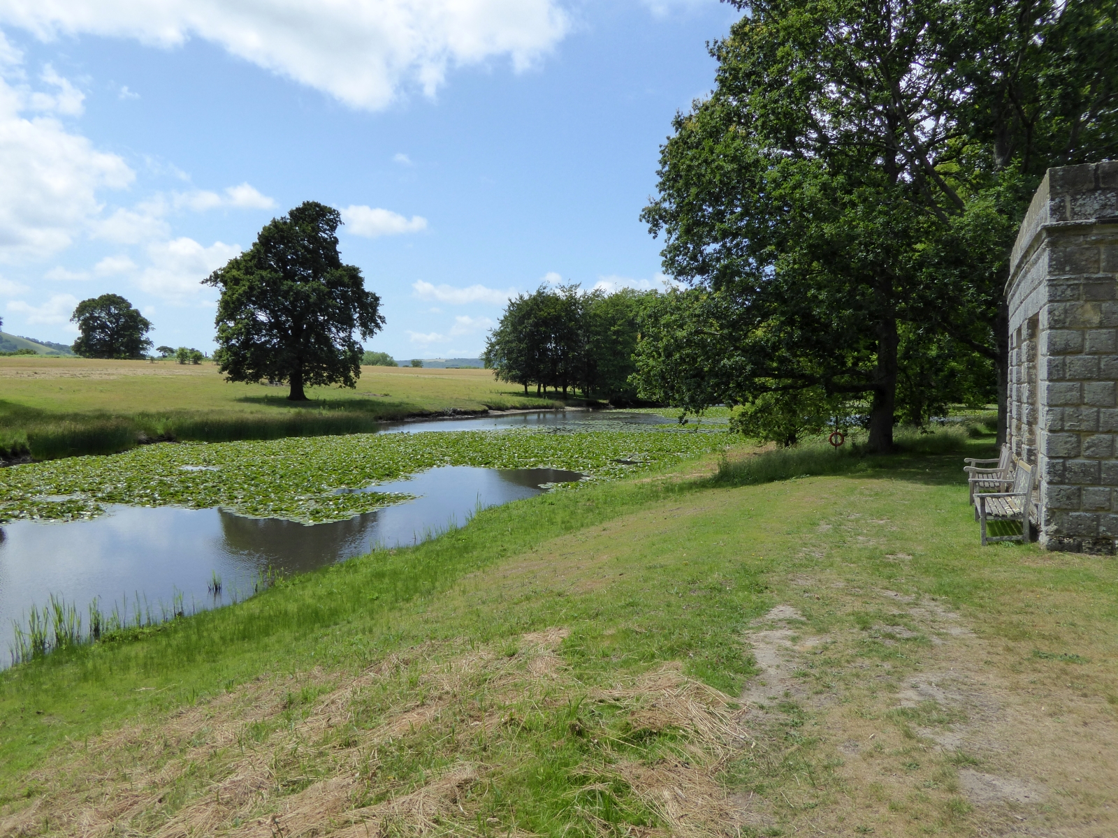 Parham Park SSSI