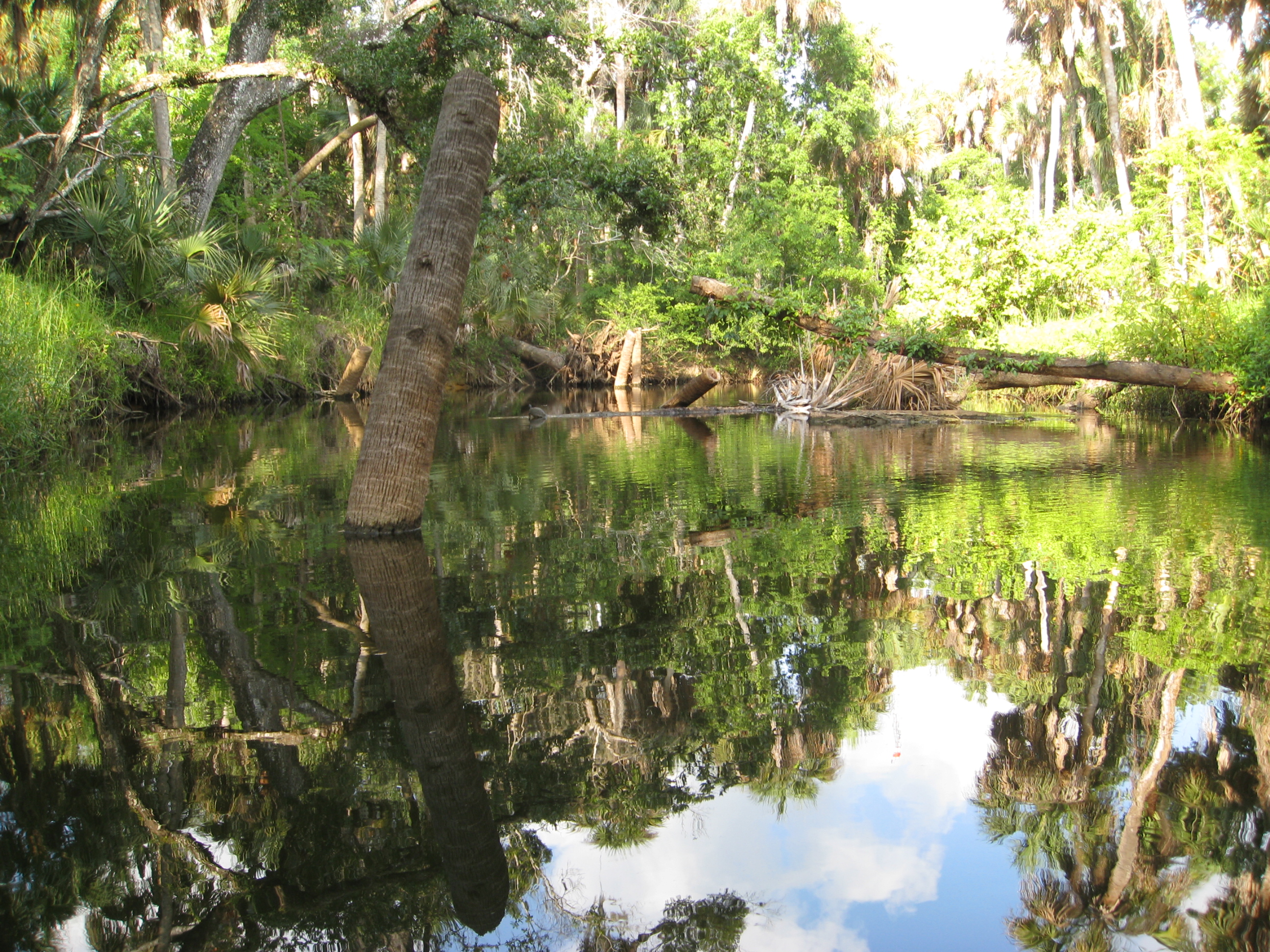 Turkey Creek (Indian River tributary) - Wikipedia