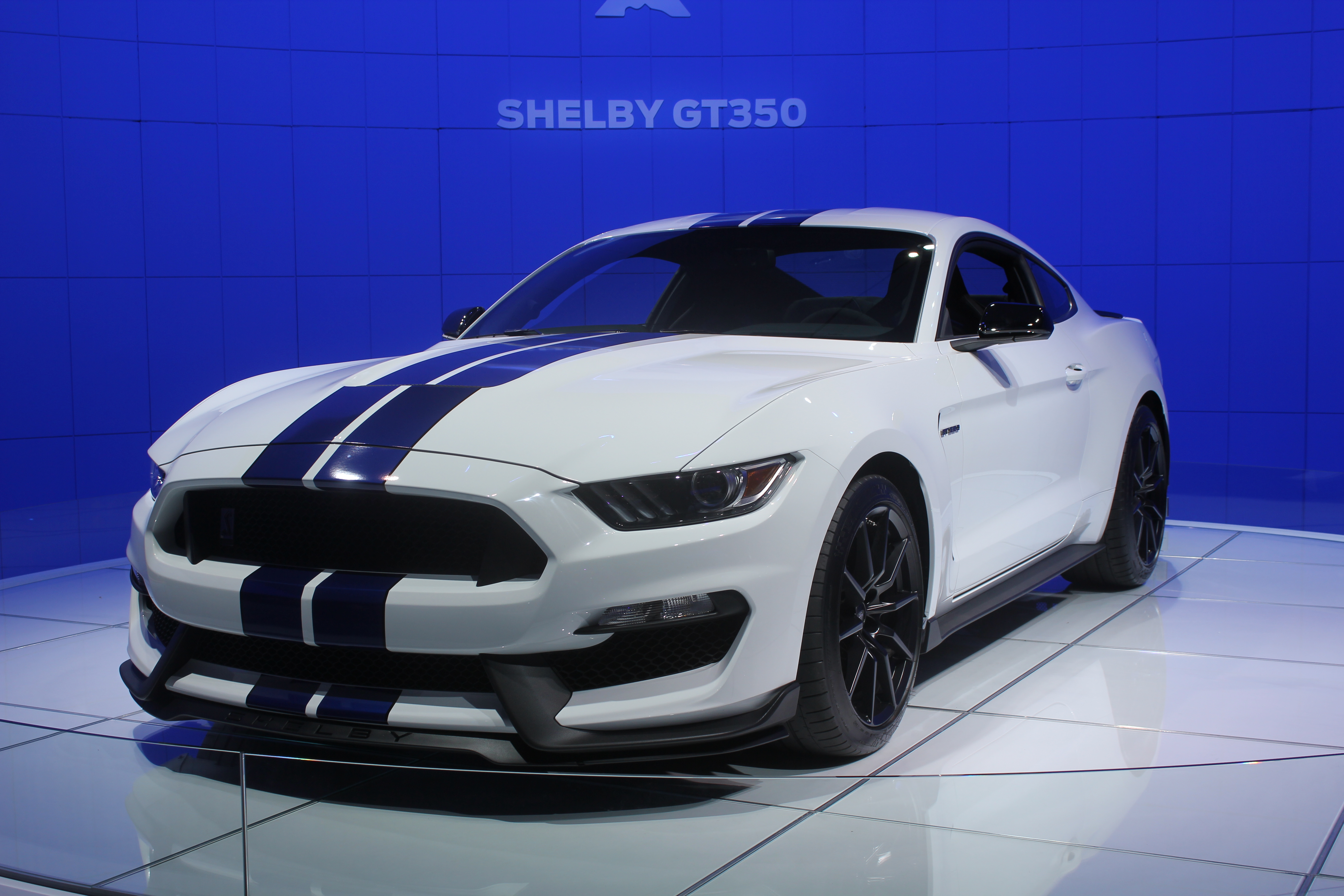 ford shelby 

