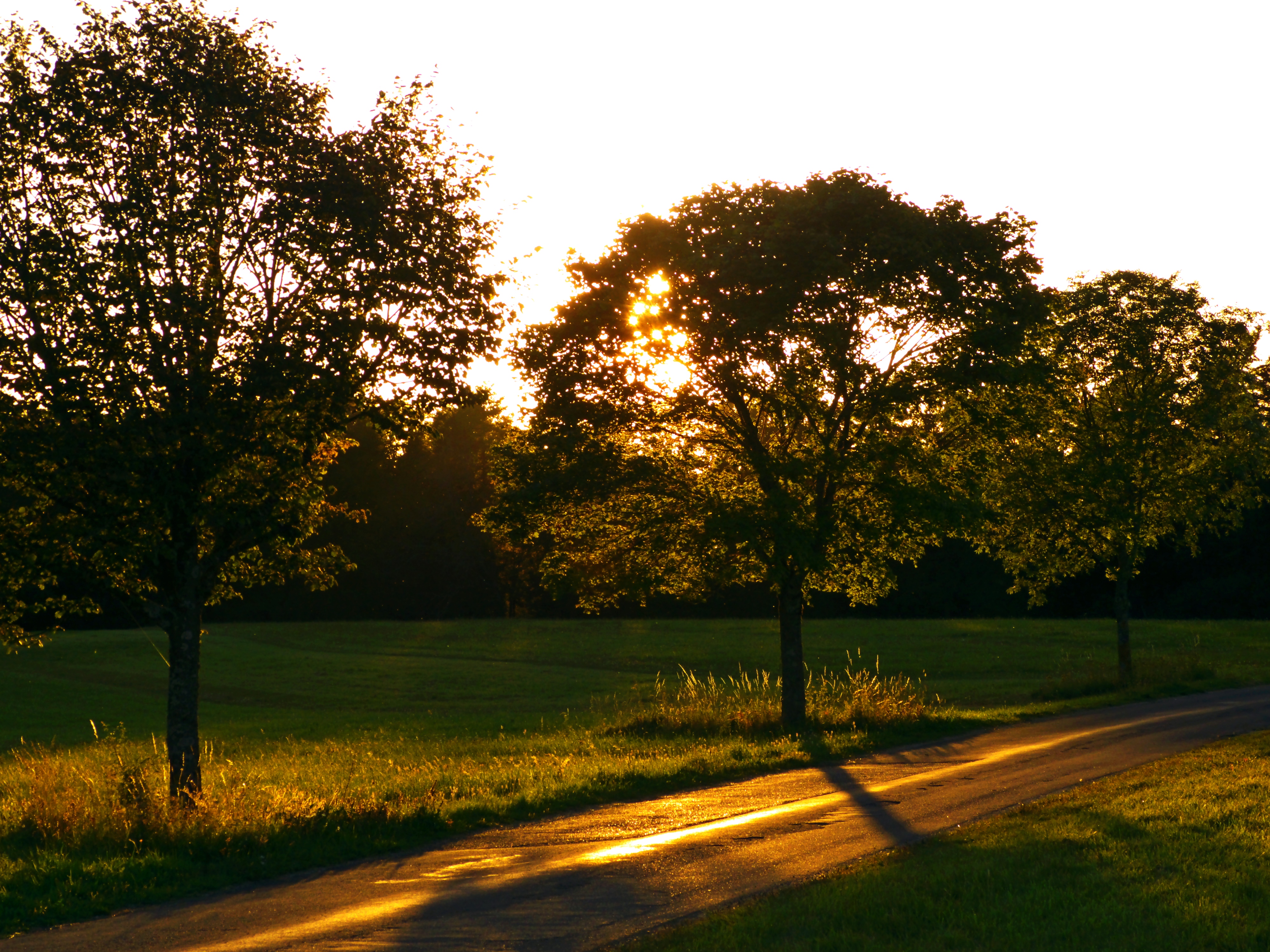 Lonely road