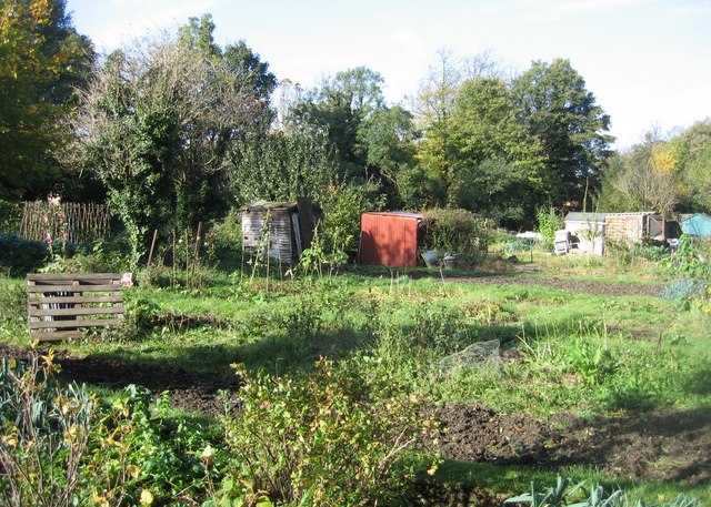 File:Assorted allotments sheds - geograph.org.uk - 1079361.jpg