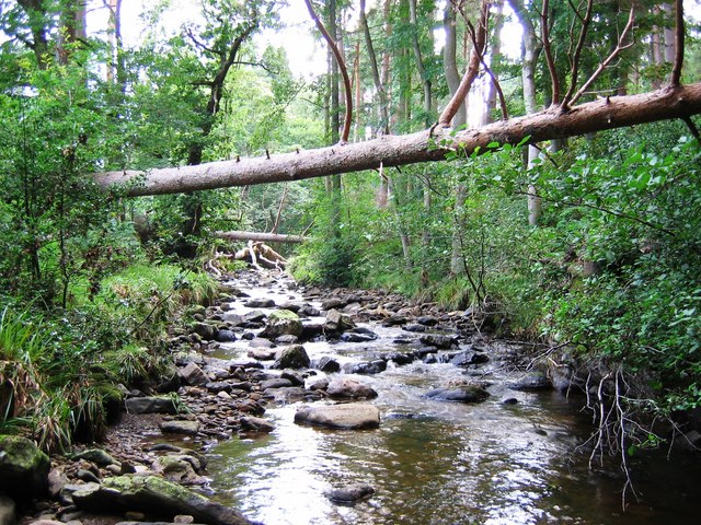 File:Ayhope Beck - geograph.org.uk - 535509.jpg