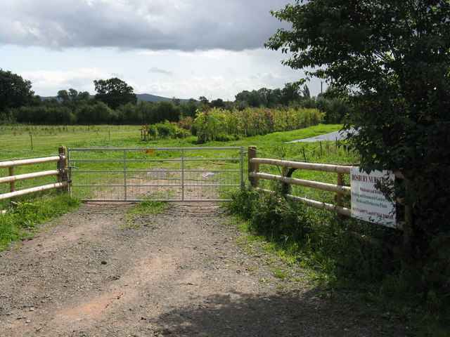 File:Back gate to Bosbury Nurseries - geograph.org.uk - 948495.jpg